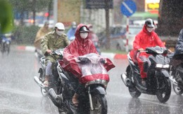 Các khu vực sắp có mưa to đến rất to trong nhiều ngày liên tiếp