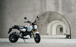 Honda MSX GROM 2027 tung bản rằn ri độc lạ khiến dân chơi xe côn tay tí hon phát sốt