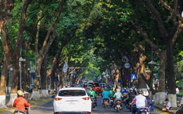 Từ ngày 23/9, toàn bộ người dân Việt Nam được miễn phí 100% dịch vụ này trong suốt 5 ngày