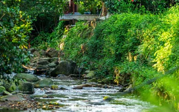 Mê mẩn sắc thu trên non thiêng Yên Tử