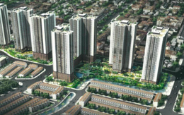 Bất động sản PG được chuyển mục đích sử dụng hơn 3ha đất tại phường An Phú
