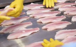 2/3 thế giới 'chốt đơn' sản vật này của Việt Nam, Vương quốc Anh cực ưa chuộng