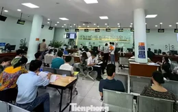TPHCM: Chỉ đạo 'nóng' về hỗ trợ người dân nộp hồ sơ nhà đất