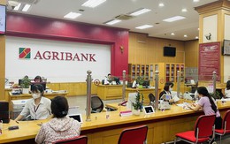 Lãi suất ngân hàng 16/9 tại MB, Techcombank, VPBank, Sacombank, HDBank, Agribank, Vietcombank, BIDV, VietinBank,...