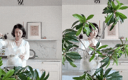Biết tuyệt chiêu cắm hoa này, bạn chẳng cần tốn tiền mua cây: Cành lá ven đường qua tay chủ nhân hóa tuyệt tác!