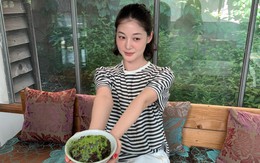 Cách tiết kiệm bị nhiều người chê “ngớ ngẩn” đã giúp tôi tích lũy hơn 3 tỷ đồng trong 6 năm