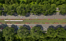 Việt Nam sắp có trục giao thông 10 làn kết hợp LRT dài gần 18km trên hòn đảo lớn nhất cả nước