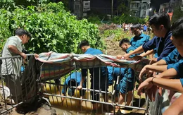 Hà Nội: Đơn vị phụ trách thoát nước nói gì về vụ nam sinh ngã xuống cống tử vong?