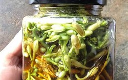 Lời khuyên dành cho tất cả những ai hay uống hoa đu đủ đực ngâm mật ong