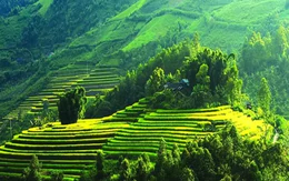 Ecopark Hải Dương và tỷ phú “ăn chay” Xuân Trường nhắm tới “viên ngọc xanh” của núi rừng Tây Bắc