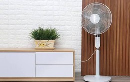 Nên dùng quạt trần hay quạt cây thì mát hơn?