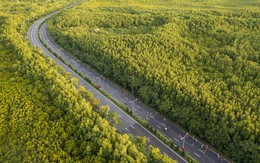 Thành viên Vingroup tính chuyện "lên đời" con đường dài hơn 35 km, hoàn thành năm 1986: Nối thẳng tới siêu đô thị lấn biển, đầu tư 19.000 tỷ đồng phát triển từ 6 thành 10 làn xe