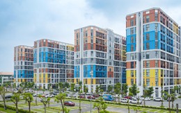 ‏Trốn khói bụi, tắc đường, kiến trúc sư trẻ quyết đưa cả nhà về Sun Urban City sống‏
