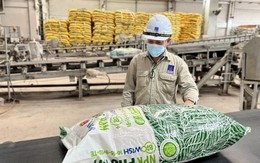 Một doanh nghiệp sắp trả cổ tức tiền mặt 14% trong tháng sau