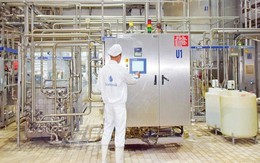 Kế toán trưởng một hãng sữa Việt bất ngờ muốn bán gần 1/4 vốn điều lệ công ty