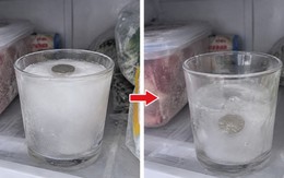 Đặt 1 cốc nước vào ngăn đá trước khi đi xa, mẹo nhỏ giúp bạn biết một việc rất quan trọng khi trở về