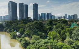 Nơi giá đất cả tỷ đồng mỗi m2, phường Sài Gòn có "khu rừng" được bảo tồn suốt hơn trăm năm, lọt top 8 thế giới, là mái nhà của nhiều động vật trong sách đỏ