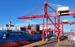 Pakistan săn chục nghìn tấn 'vàng xanh' của Việt Nam: thuế nhập khẩu 0%, Việt Nam là ông trùm đứng thứ 5 thế giới