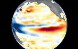 Siêu El Niño đã đạt cấp độ Godzilla, mạnh nhất trong 1.000 năm
