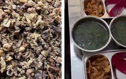 Phụ huynh kiểm tra đột xuất thấy cơm bán trú 'toàn tóp mỡ': Hiệu trưởng nói gì?