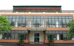 Phân lân Văn Điển chuẩn bị chia cổ tức bằng cổ phiếu tỷ lệ 10%