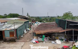 Hà Nội xử lý hàng trăm trường hợp vi phạm trên đất nông nghiệp