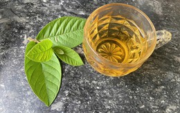 Lời khuyên dành cho tất cả những người uống nước lá ổi