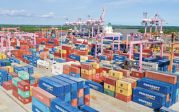 ITC được thuê đất thực hiện dự án Cảng quốc tế SP-ITC