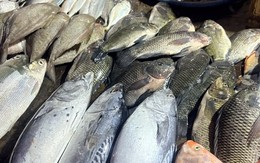Đi chợ mua cá mà biết chọn ngay 7 loại, chuyên gia dinh dưỡng cũng phải khen: "Rất khôn ngoan"
