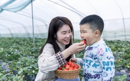 “Con trai giống mẹ” hóa ra có cơ sở: 4 đặc điểm ở bé trai dễ thừa hưởng từ mẹ, xem con nhà bạn có không?