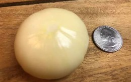 Trồng tỏi gần 1 năm, người đàn ông 67 tuổi đào lên rồi sững sờ: Một kỷ lục thế giới mới được xác lập!