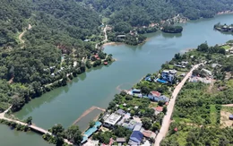 Hà Nội xin ý kiến điều chỉnh diện tích hơn 7.000ha khỏi quy hoạch rừng, đất lâm nghiệp