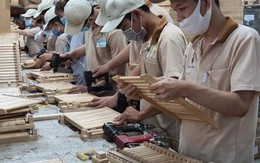 Dự thảo Nghị định quy định mức lương tối thiểu với hợp đồng lao động