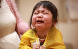 “Thùy trán não bộ trẻ đang cầu cứu": Muốn con thông minh, cha mẹ hãy ngừng làm thay 5 việc này
