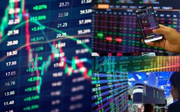 Cổ phiếu định giá thấp, đón sóng lợi nhuận