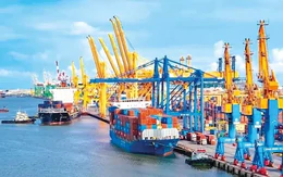 Việt Nam nhập siêu hơn 20 tỷ USD trong 8 tháng