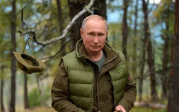 Tổng thống Nga Putin chạm trán hổ khi lái xe xuyên rừng