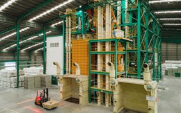 Greenfeed duy trì đà kinh doanh tích cực nửa đầu năm