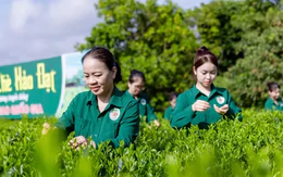 Mô hình 'Hợp tác xã xã hội chủ nghĩa' ở Thái Nguyên có gì đặc biệt?