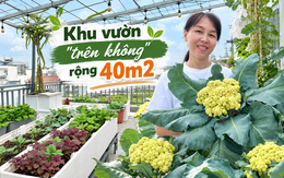 Khu vườn 40m² trên sân thượng ở TP.HCM: Rau xanh ăn quanh năm, chiều nào gia chủ cũng lên “xả stress”