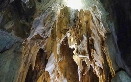 Phát hiện hang động nhiều tầng trong rừng nguyên sinh ở Nghệ An