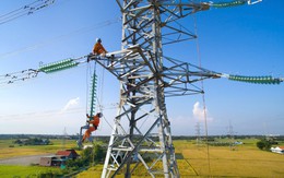 Tổng công ty Điện lực miền Nam cảnh báo khẩn