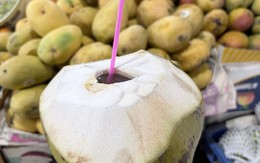 Người Việt có loại nước trong như nước lọc, giá rẻ bèo nhưng giấu cả kho chất quý, uống vừa khỏe vừa đẹp
