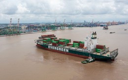 Viconship lên kế hoạch tăng vốn điều lệ vượt 5.800 tỷ đồng
