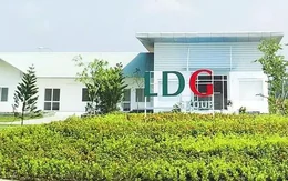 Nhiều doanh nghiệp bị nghi ngờ khả năng hoạt động liên tục