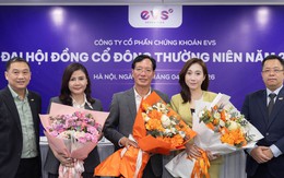 Ông Nguyễn Thanh Hải tiếp tục từ nhiệm thành viên HĐQT EVS