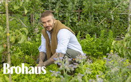 Khu vườn trồng rau nuôi gà 350 tỷ của Beckham