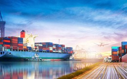 Trung Quốc chi gần 3 tỷ USD mua mặt hàng này của Việt Nam