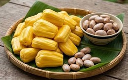 Bất ngờ với công dụng của hạt mít: Giàu chất dinh dưỡng, giúp giảm độ ẩm và cải thiện khẩu vị, nhiều người lại thường đem vứt