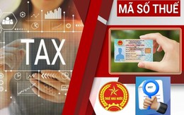 Doanh nghiệp sắp được chấm dứt mã số thuế chỉ sau 3 ngày
